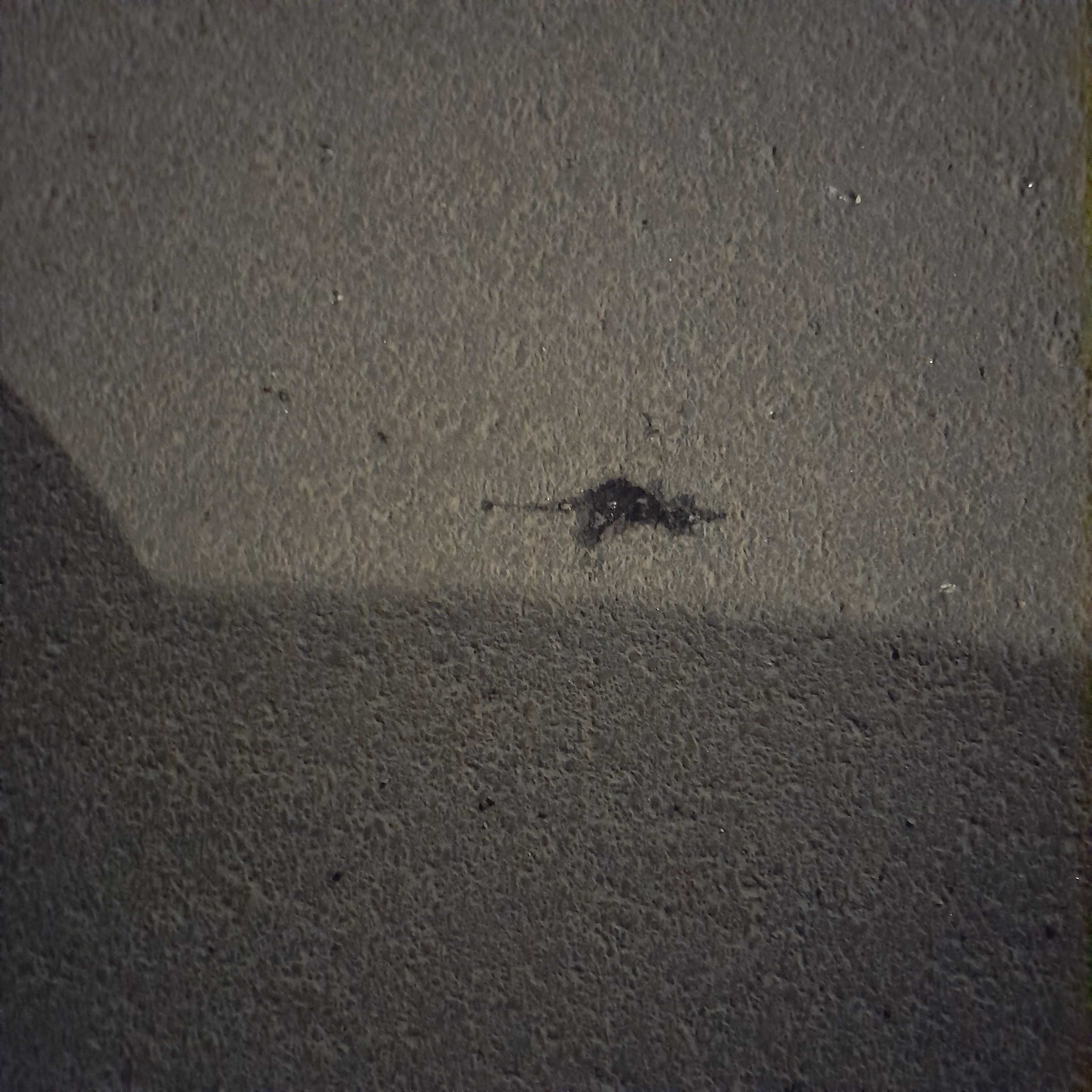 RAT running away